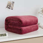 VeltoLiving CozyLuxe™ Flannel Blanket