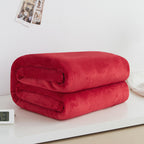 VeltoLiving CozyLuxe™ Flannel Blanket